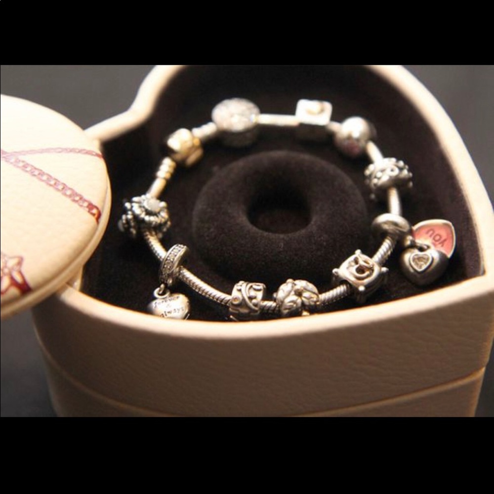 Pandora Charms, 2 Toned Bracelet w/ 14k Gold Clasp